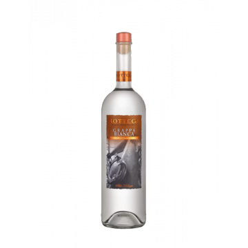 Bottega Grappa Bianca Cl 100